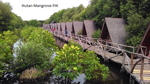 Hutan Mangrove PIK